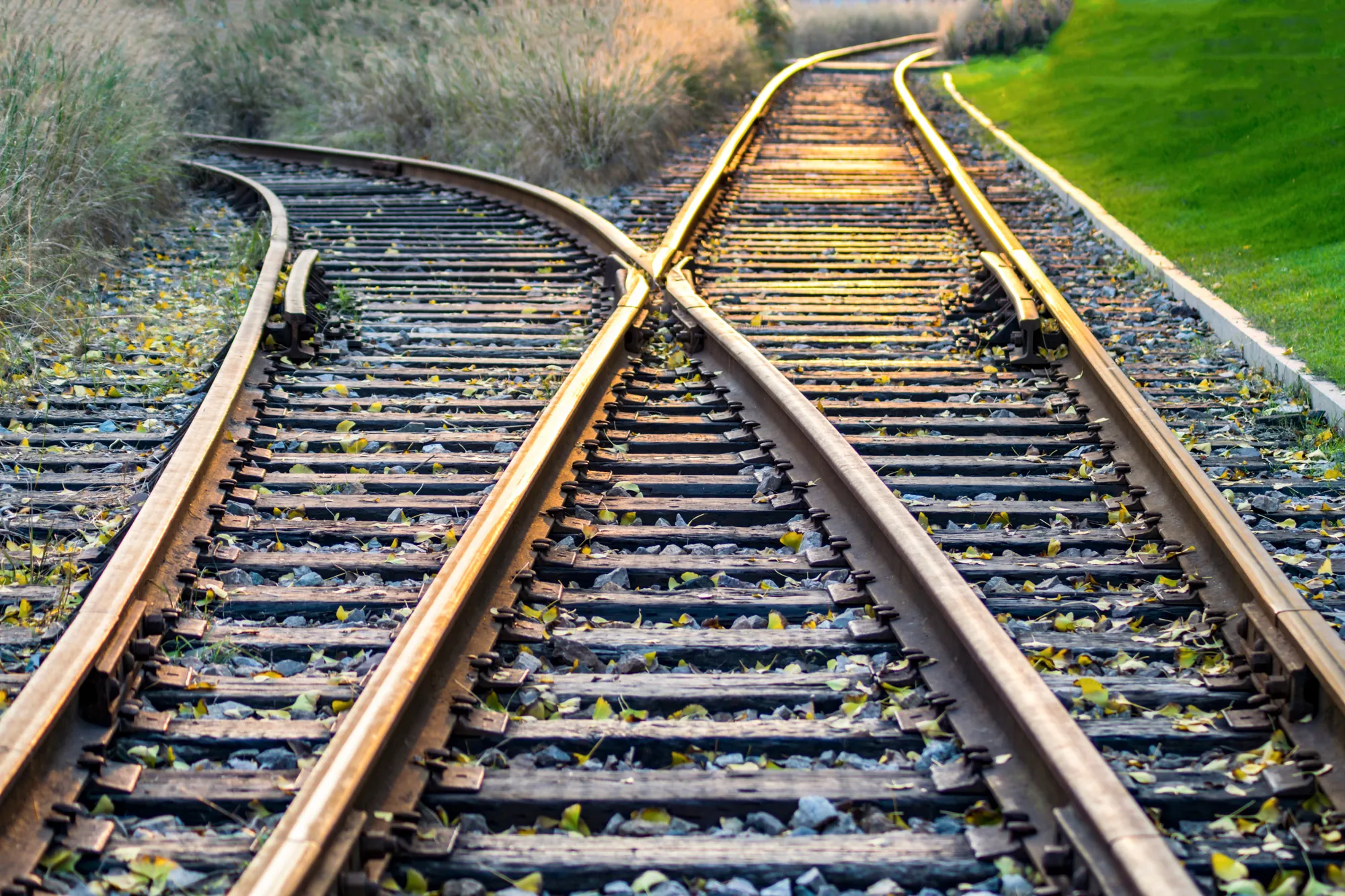 Rail track junction with switching points in autumn light — calm non-incident scene